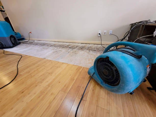 Professional Water Damage Repair technician working in Makinen, MN